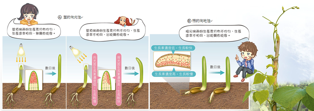 澳门十大正规网投平台